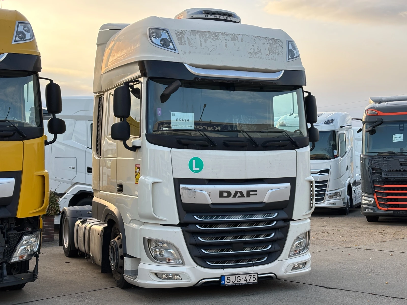 Daf XF 480 SSC LD - изображение 2