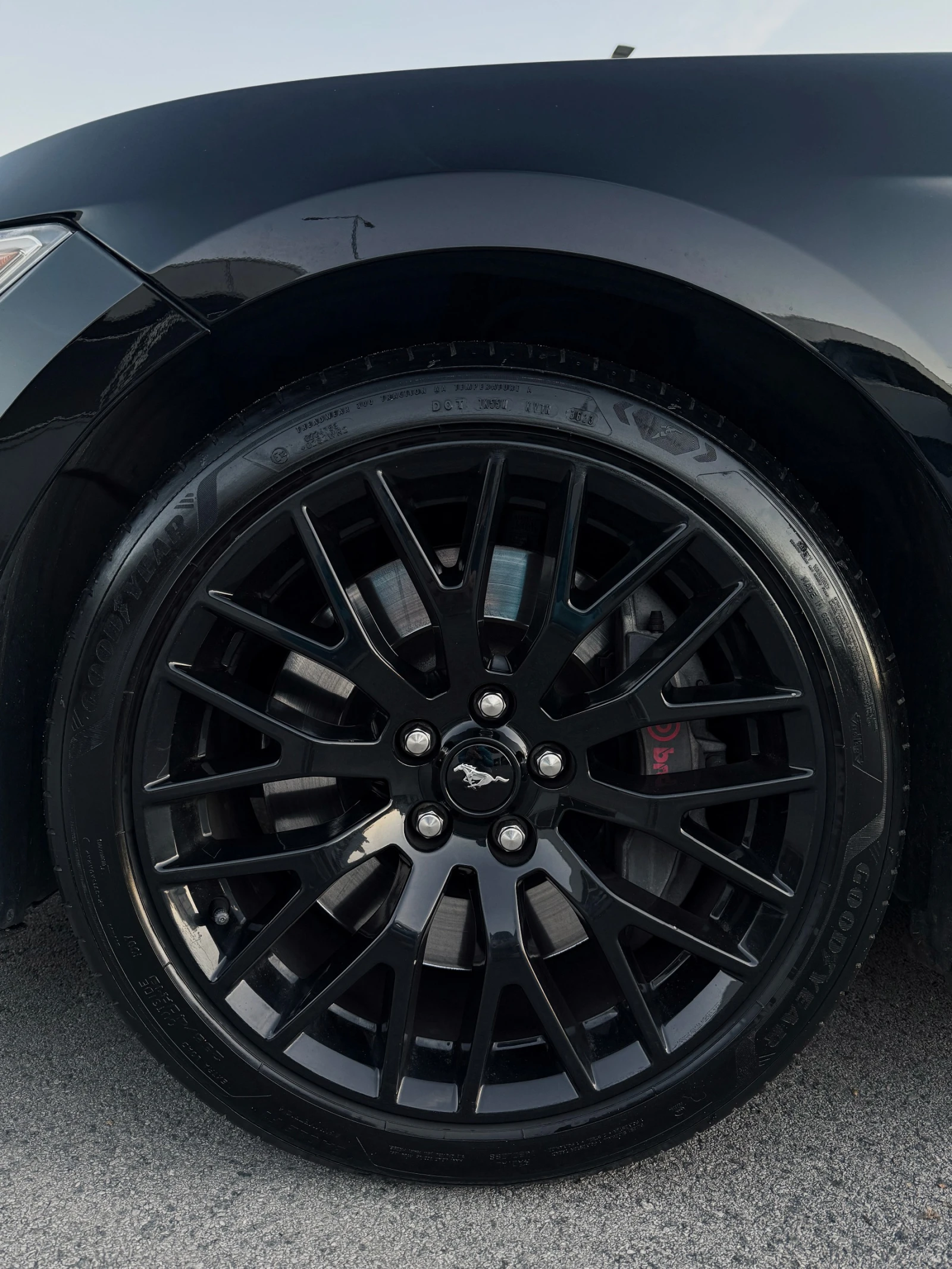 Ford Mustang Mustang GT Premium + Performance Package | Mobile.bg   7