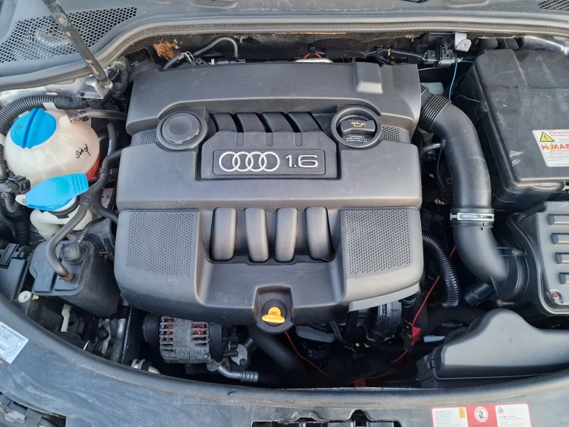 Audi A3 8P 1.6i 102ps, снимка 5 - Автомобили и джипове - 49089555