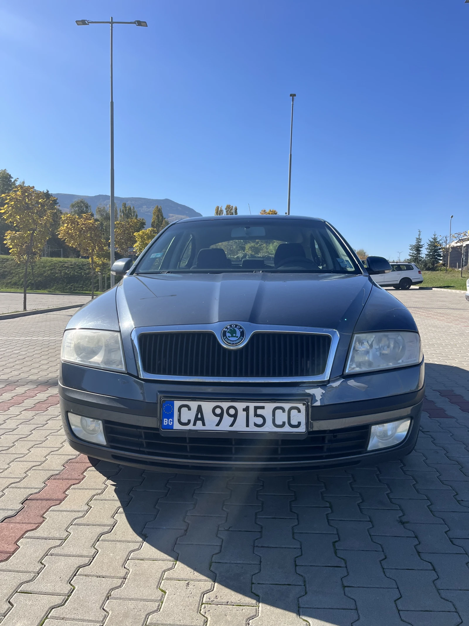Skoda Octavia II - изображение 9
