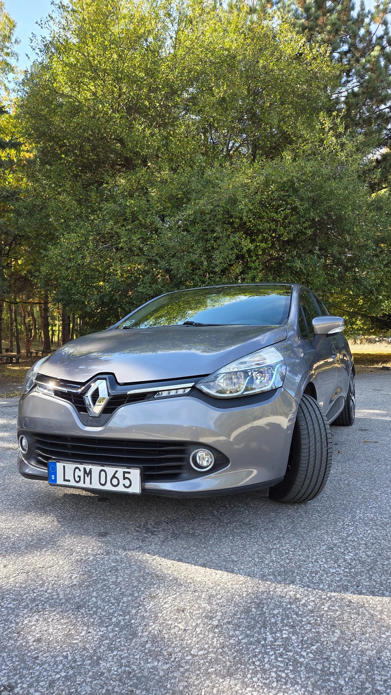 Renault Clio, снимка 15 - Автомобили и джипове - 56576396