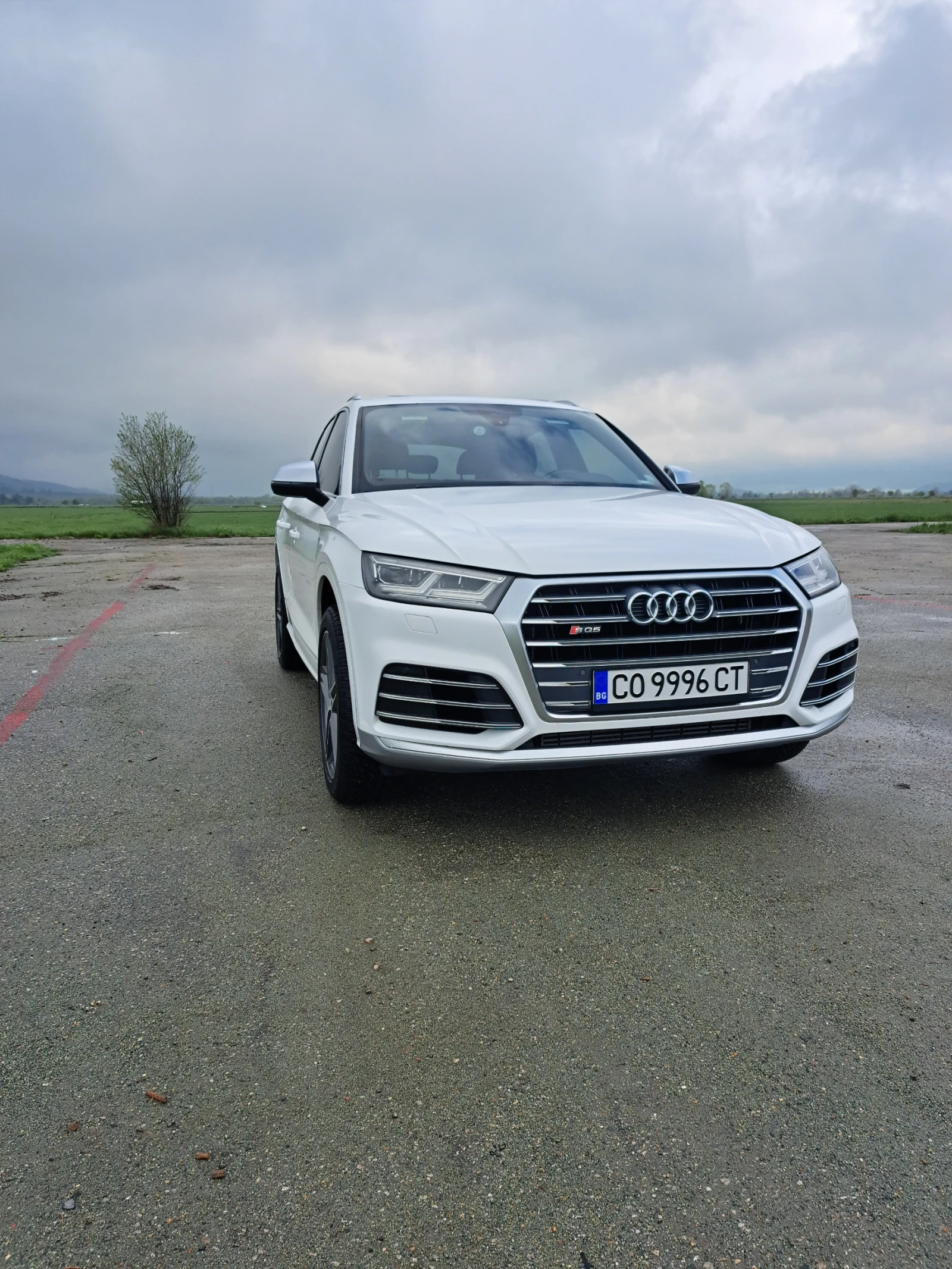 Audi SQ5 3.0 - изображение 3