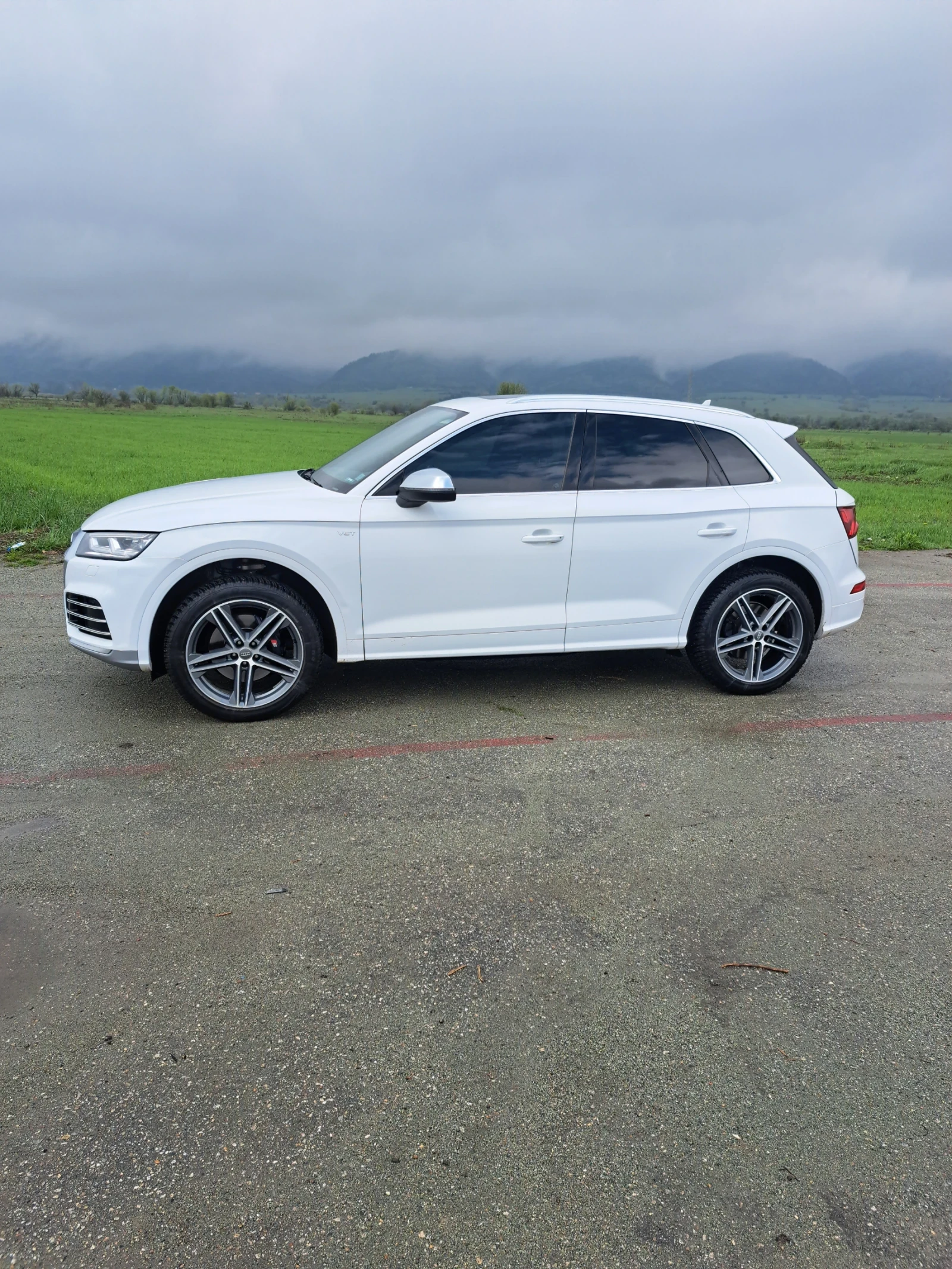 Audi SQ5 3.0 - изображение 5