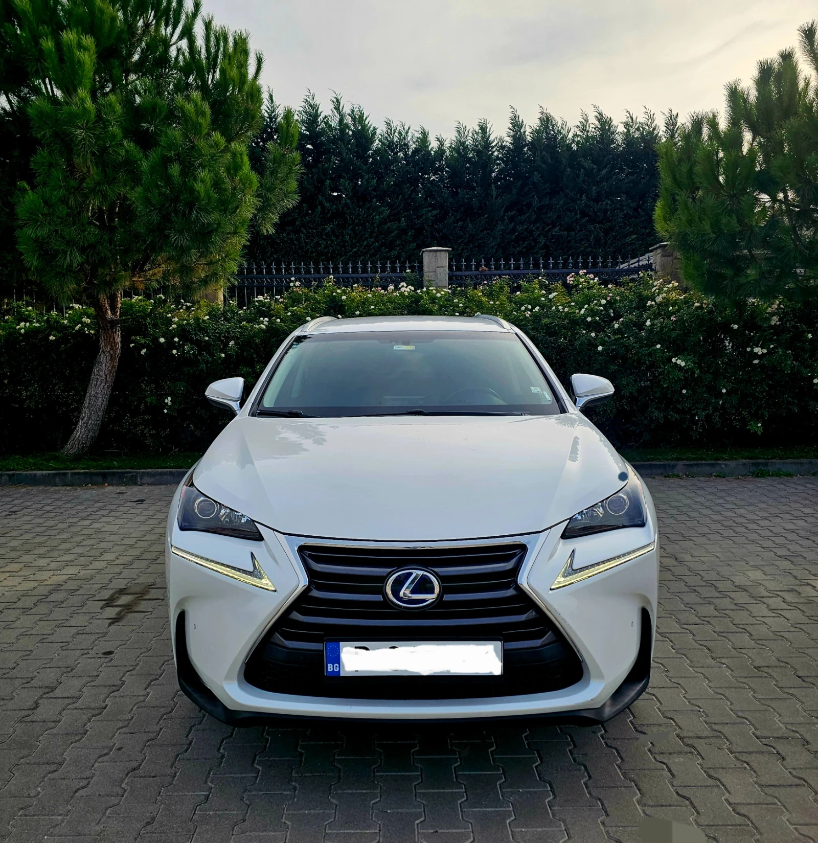 Lexus NX 300h  - изображение 3