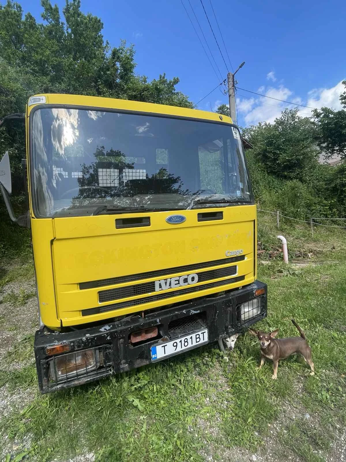 Iveco Cargo, снимка 7 - Камиони - 54196572