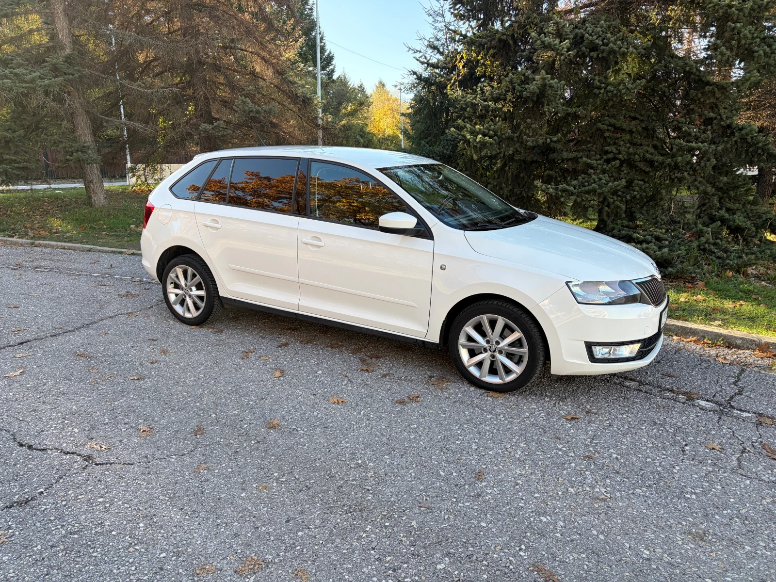 Skoda Rapid 1.6 TDI | Mobile.bg   3