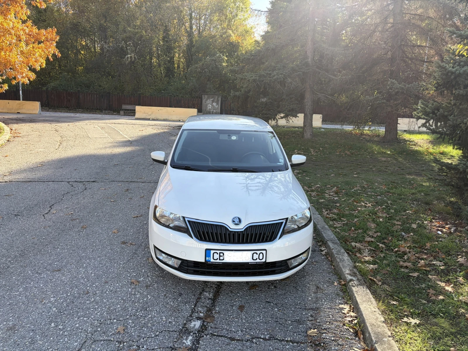Skoda Rapid 1.6 TDI | Mobile.bg   2