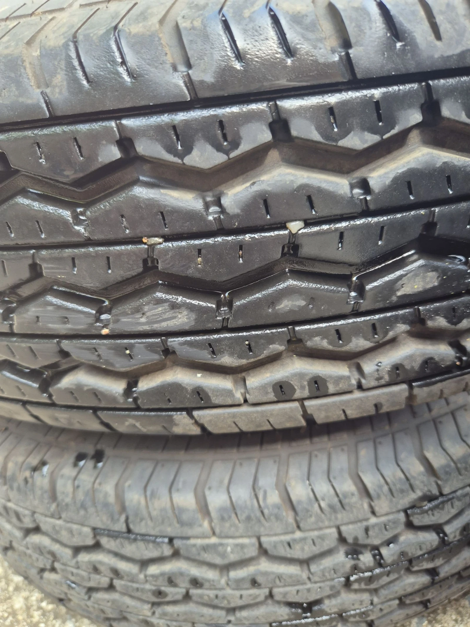    185/70R14 | Mobile.bg   13