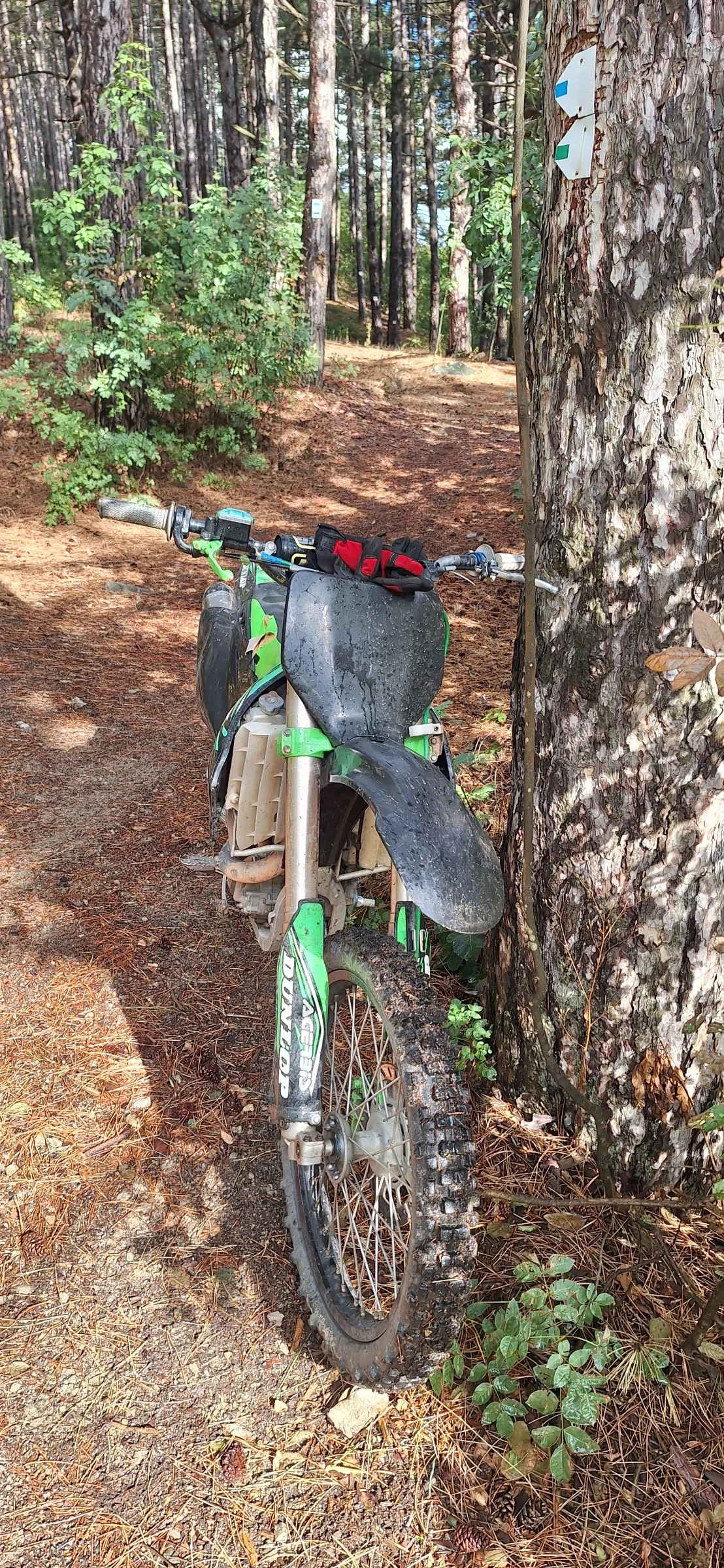 Kawasaki Kx, снимка 1