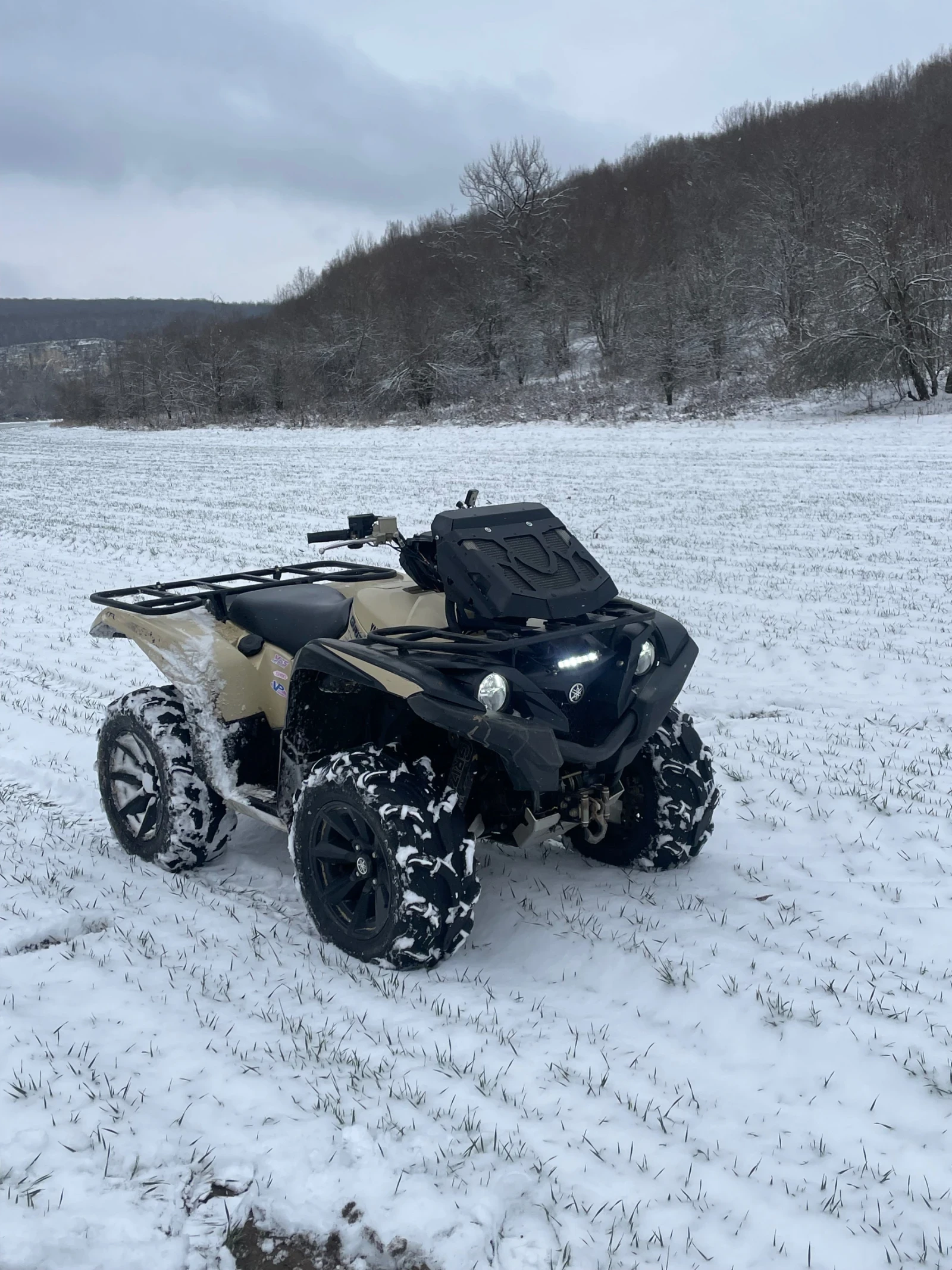 Yamaha Grizzly