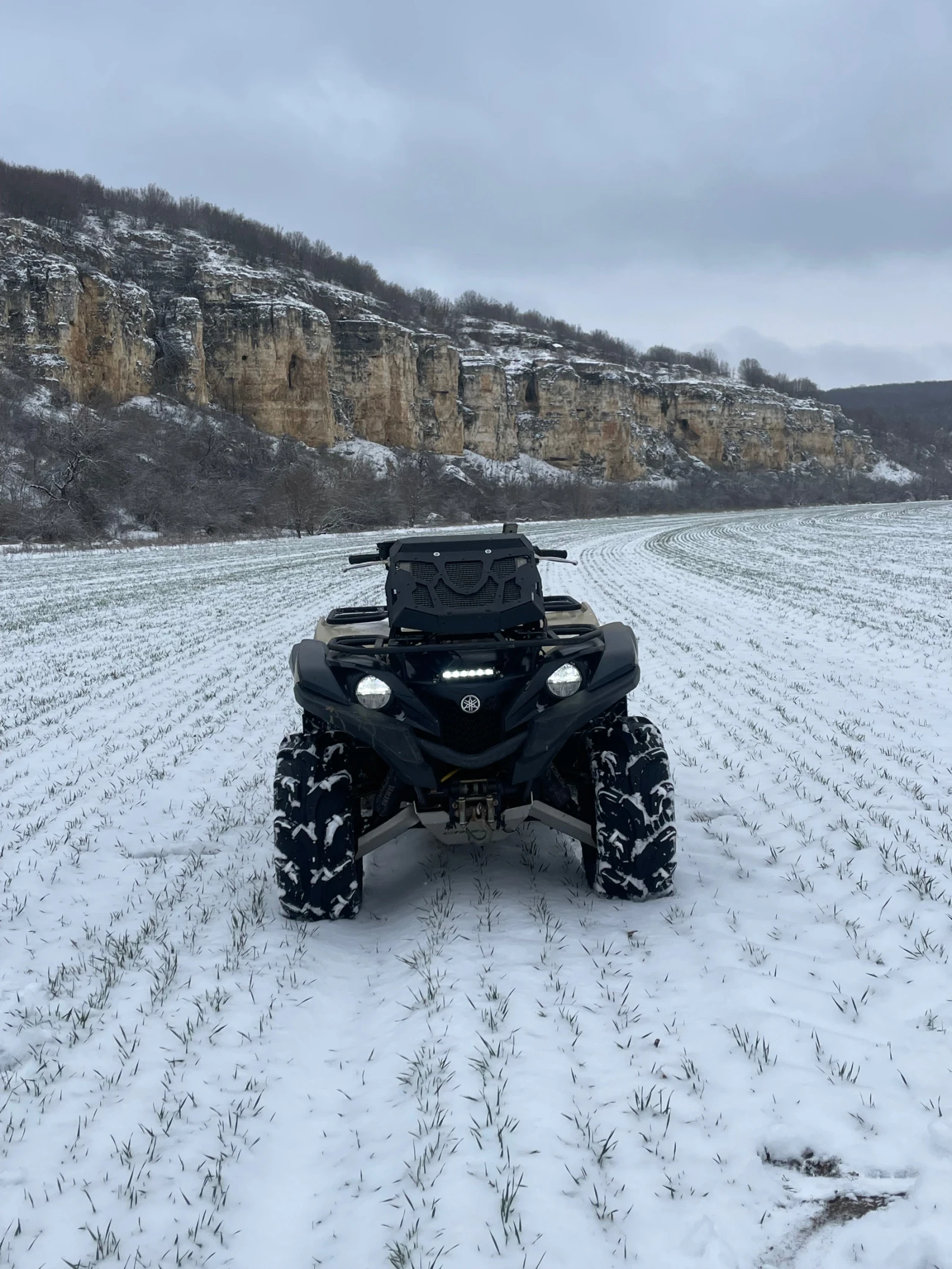 Yamaha Grizzly, снимка 2 - Мотоциклети и мототехника - 55134195