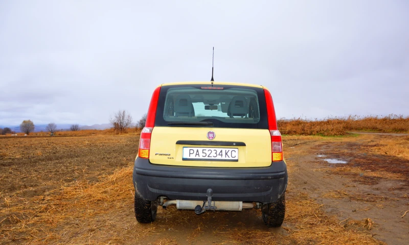 Fiat Panda 4х4, снимка 3 - Автомобили и джипове - 48297156