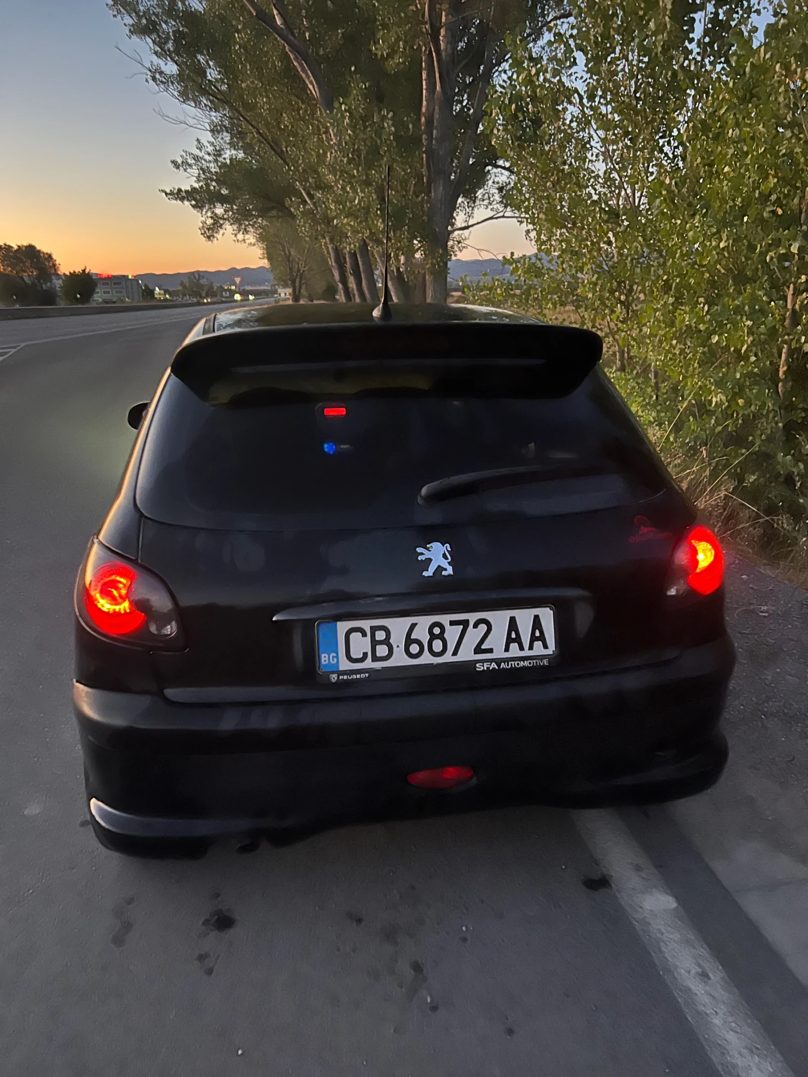 Peugeot 206 2.0 HDI - изображение 3