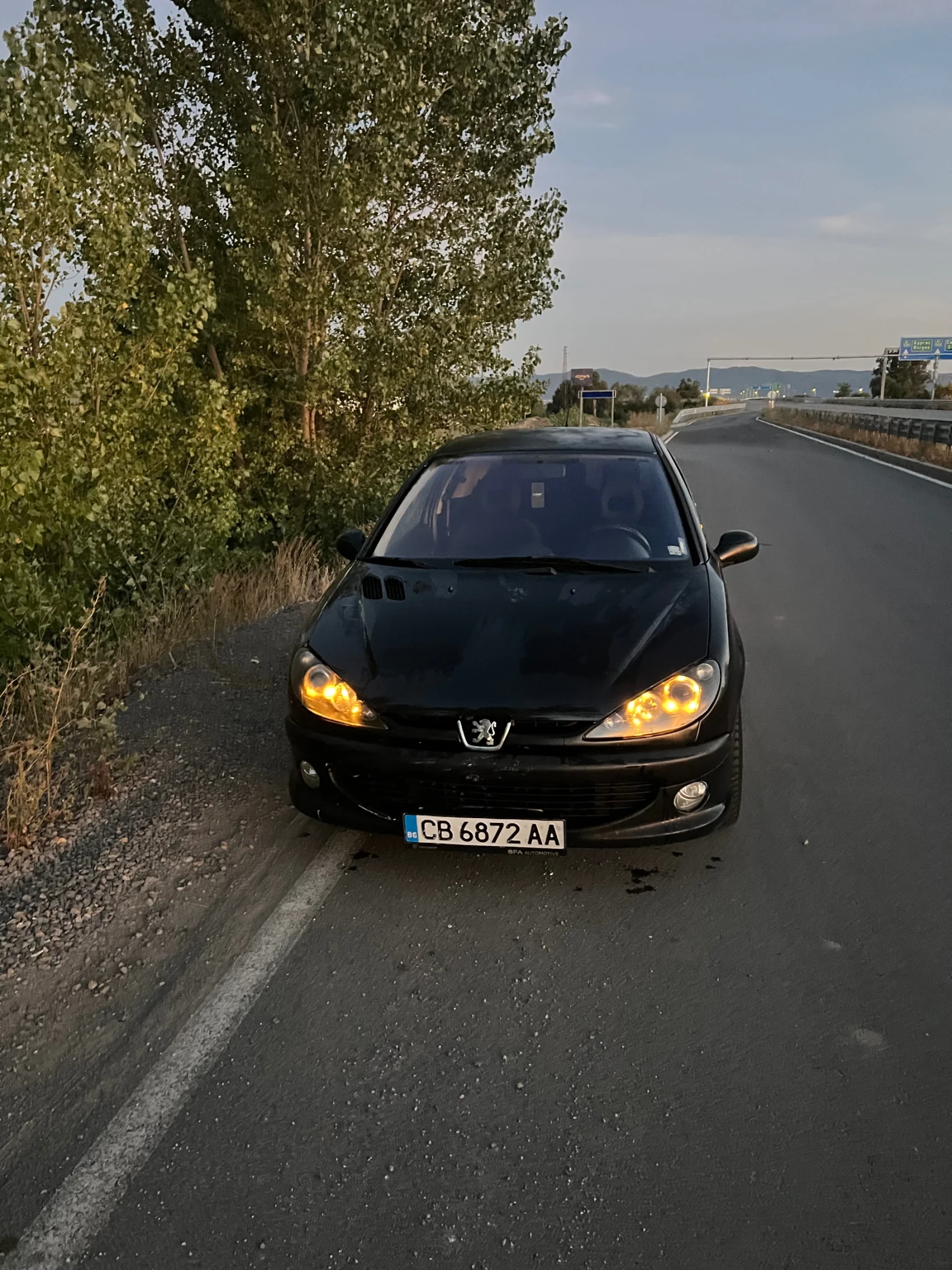 Peugeot 206 2.0 HDI - изображение 2
