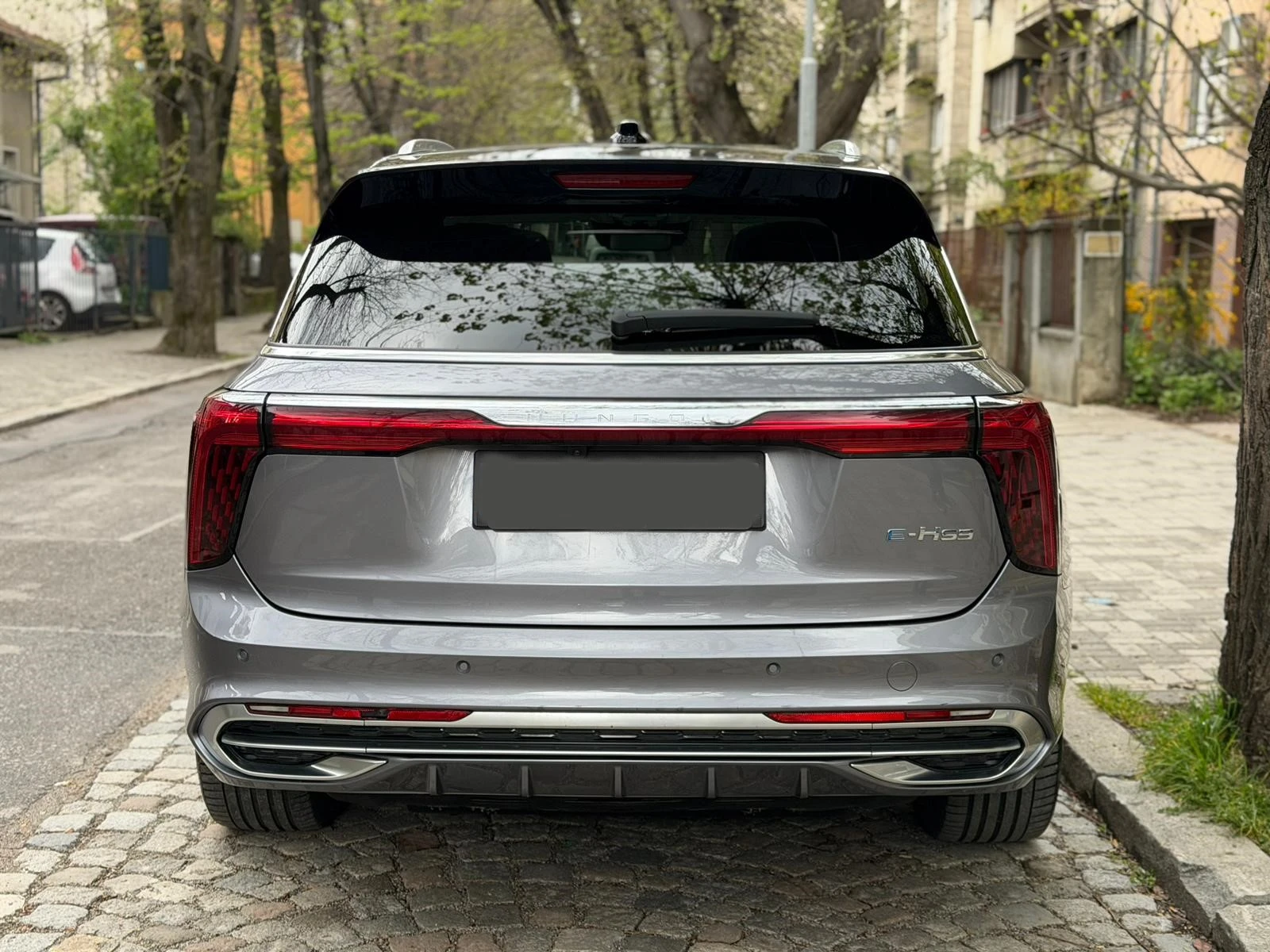 HongQi E-HS9 AWD | Mobile.bg � ����������� 4