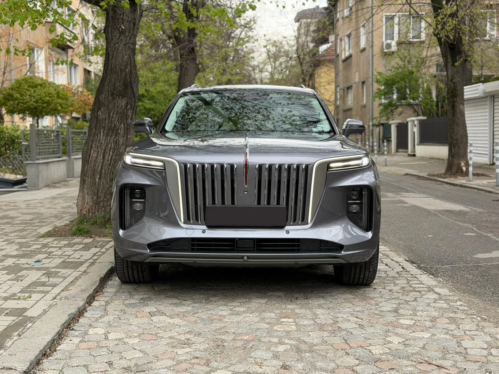 HongQi E-HS9 AWD | Mobile.bg � ����������� 8