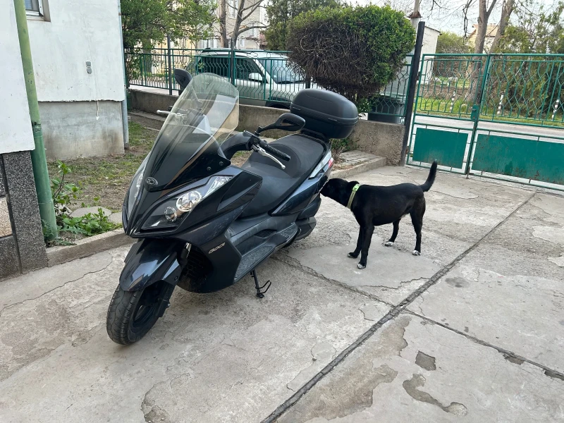 Kymco Downtown 300 кибика 30 коня, снимка 2 - Мотоциклети и мототехника - 52267907