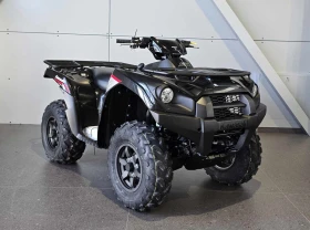  Kawasaki Brute Force