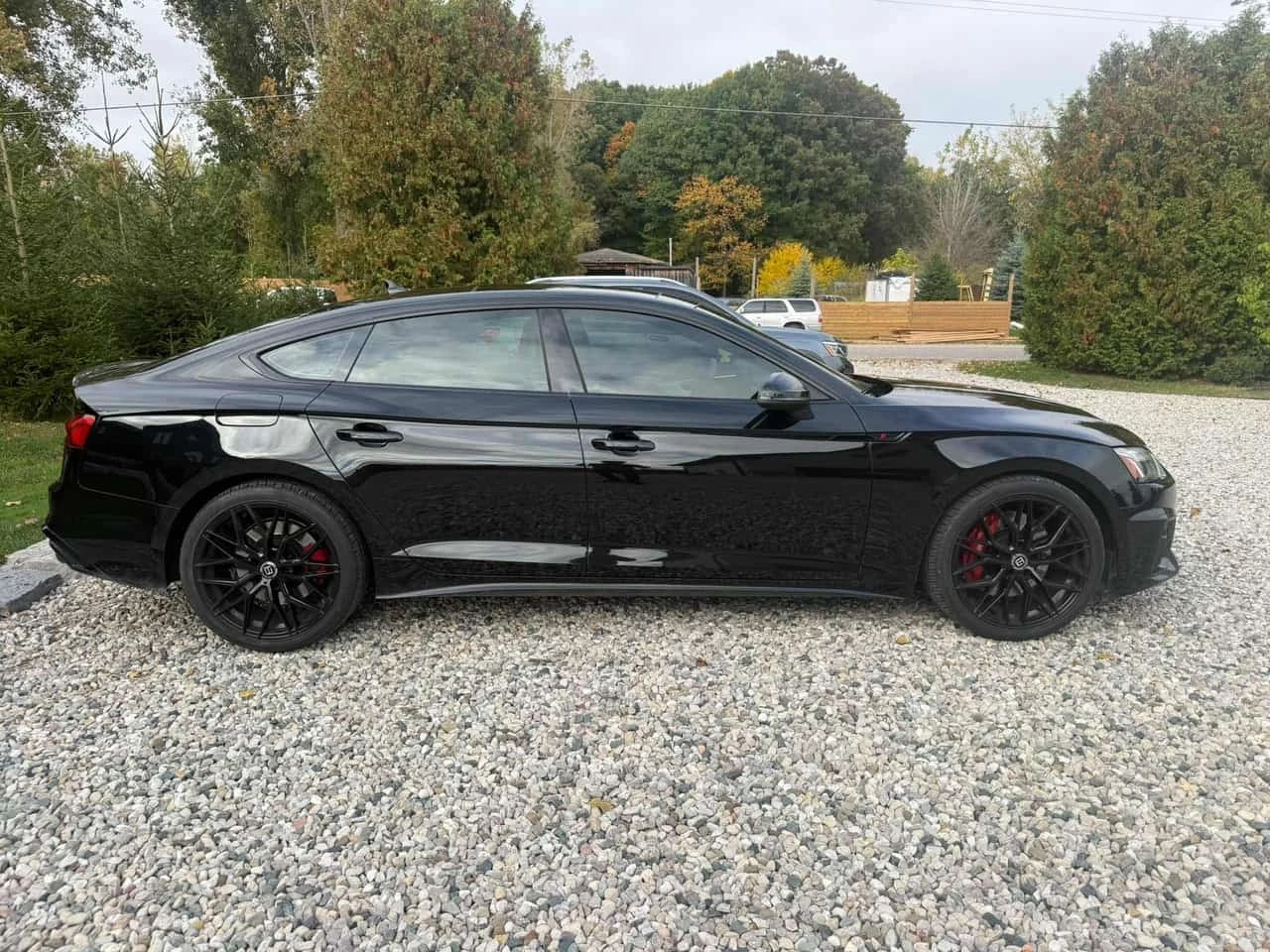 Audi S5 Progressiv  CARFAX, снимка 3 - Автомобили и джипове - 56517483