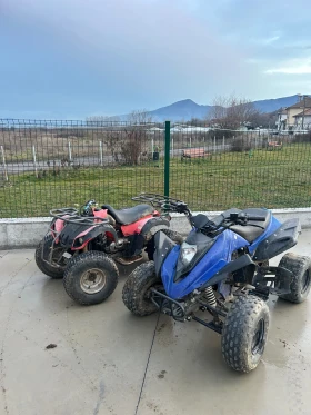 Bashan BS 2бр- за 600  - изображение 1