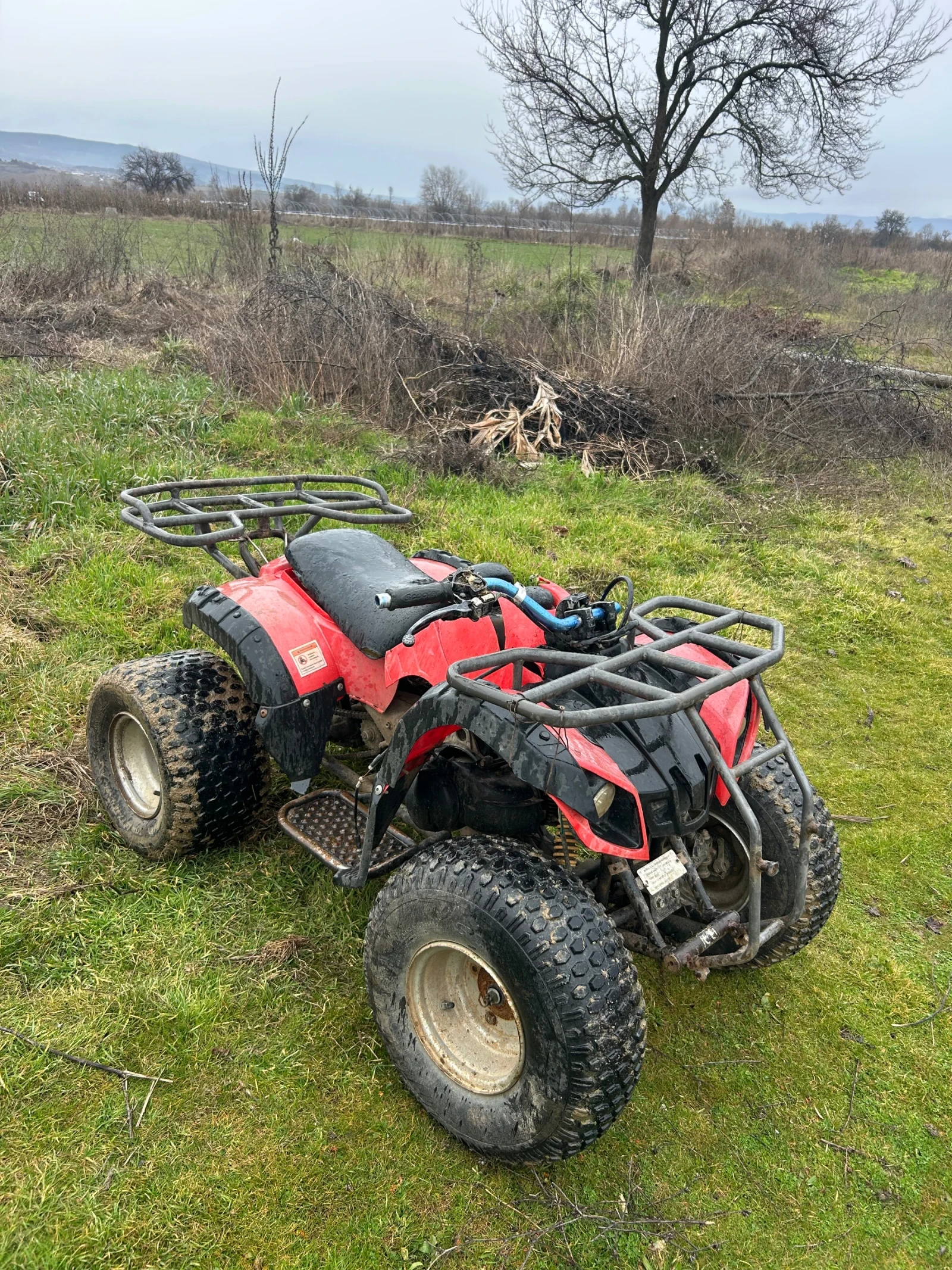 Bashan BS Лошо състояние  - изображение 2