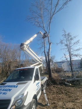 Mercedes-Benz Sprinter | Mobile.bg    2
