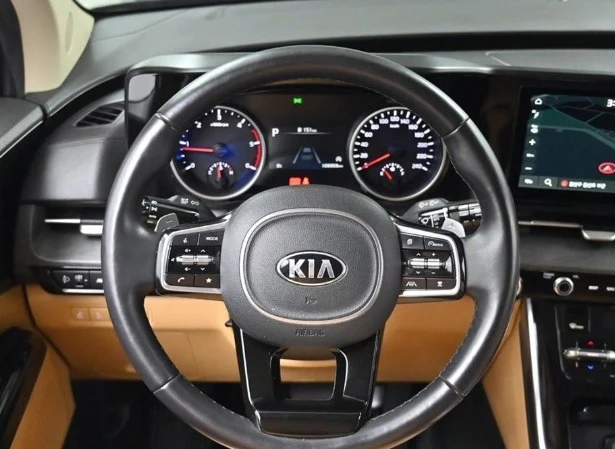 Kia Carnival 7-seater diesel Noblesse  | Mobile.bg   12