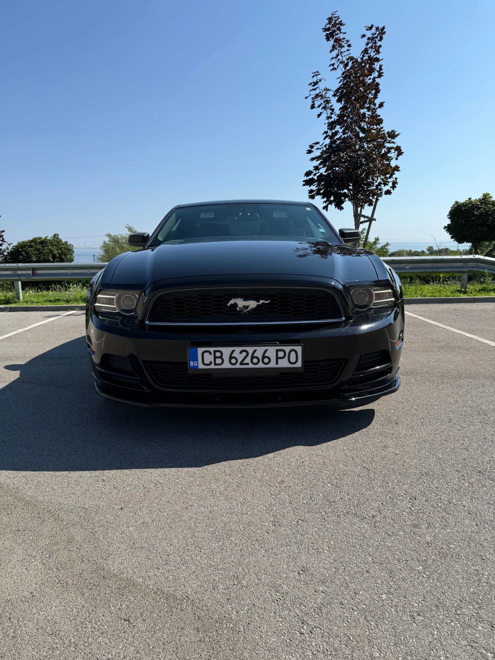 Ford Mustang 3.7L S197 - изображение 2