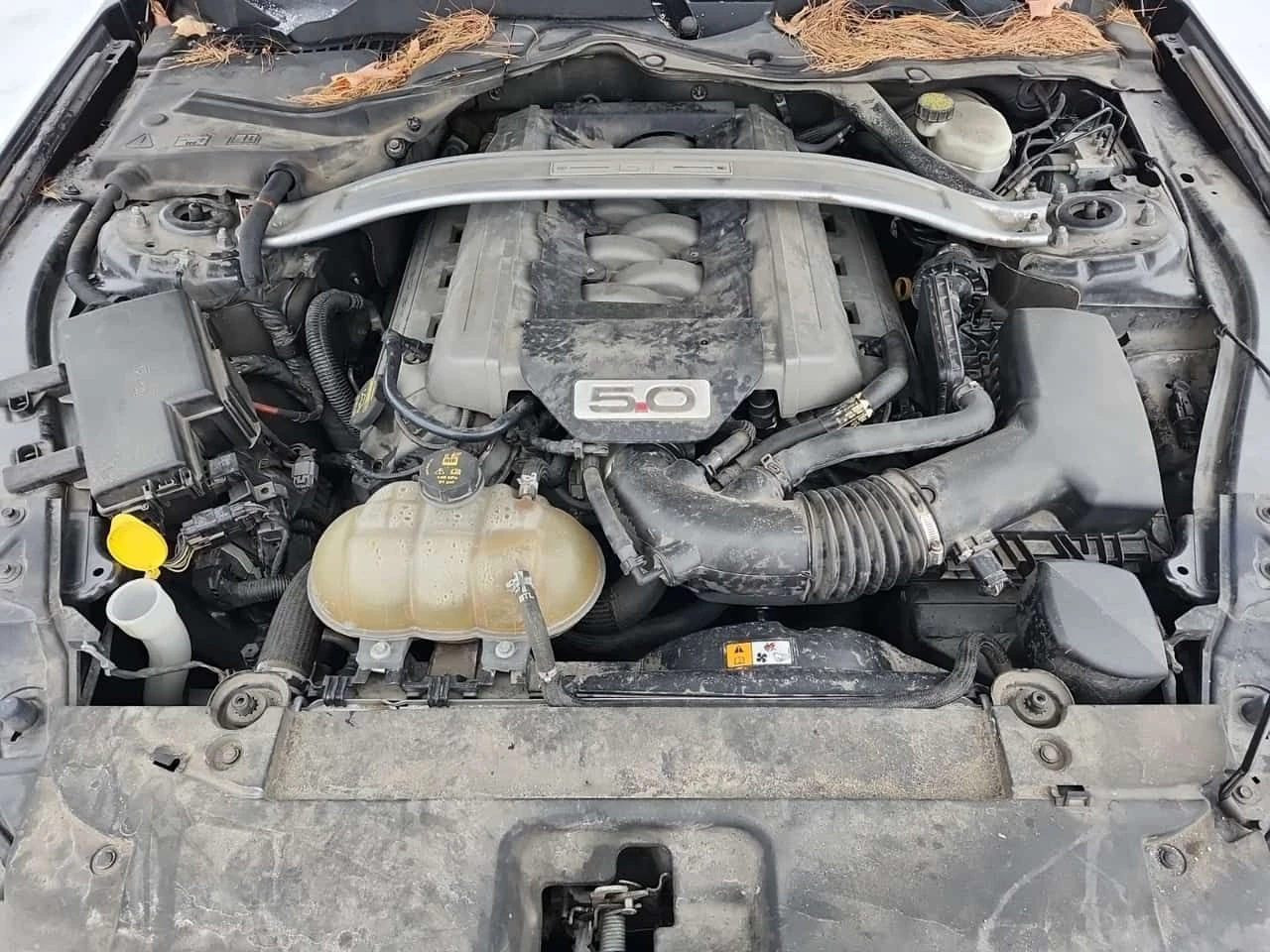 Ford Mustang GT PREMIUM  CARFAX | Mobile.bg � ����������� 17