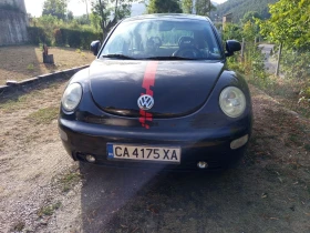     VW Beetle