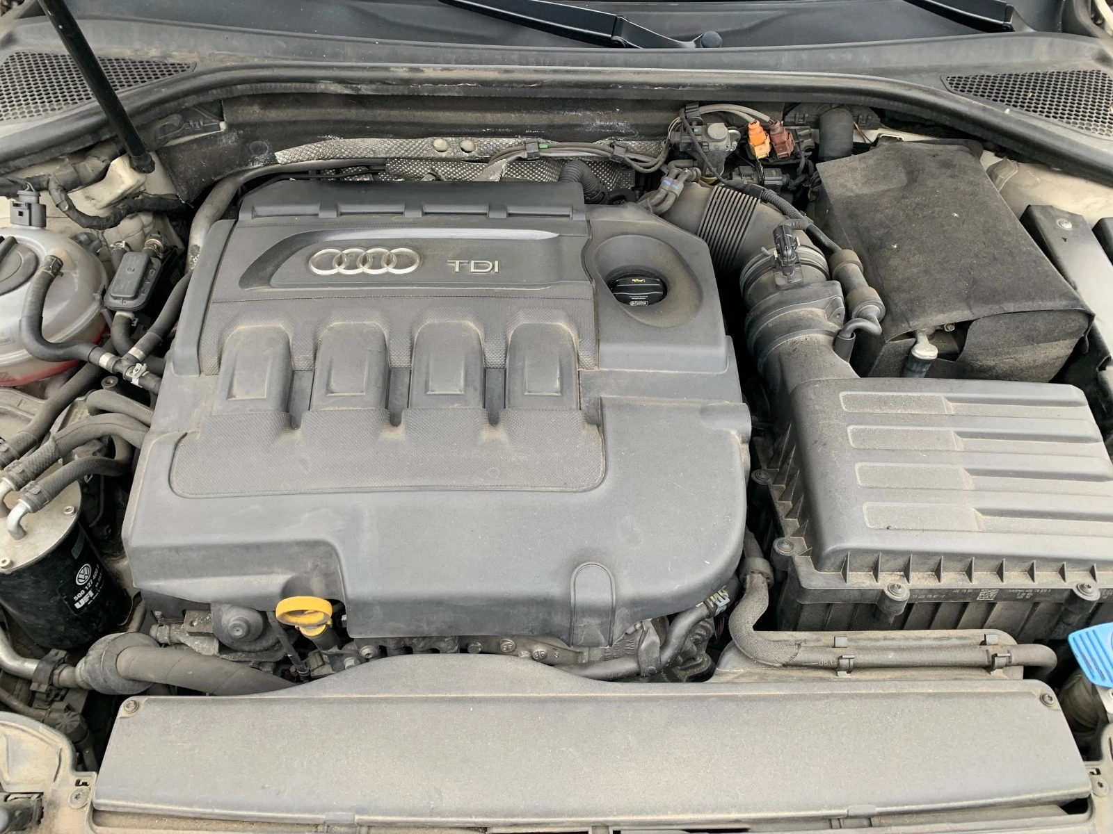 Audi A3 2.0TDI-Quattro | Mobile.bg — изображение 16