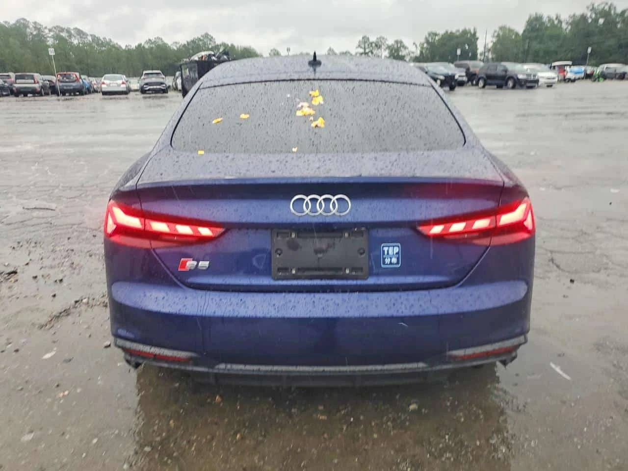 Audi S5  Prestige / carbon intake / B&O / CARFAX , снимка 6 - Автомобили и джипове - 55738169