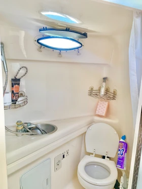 Моторна яхта Larson Larson 254 Cabrio, снимка 14