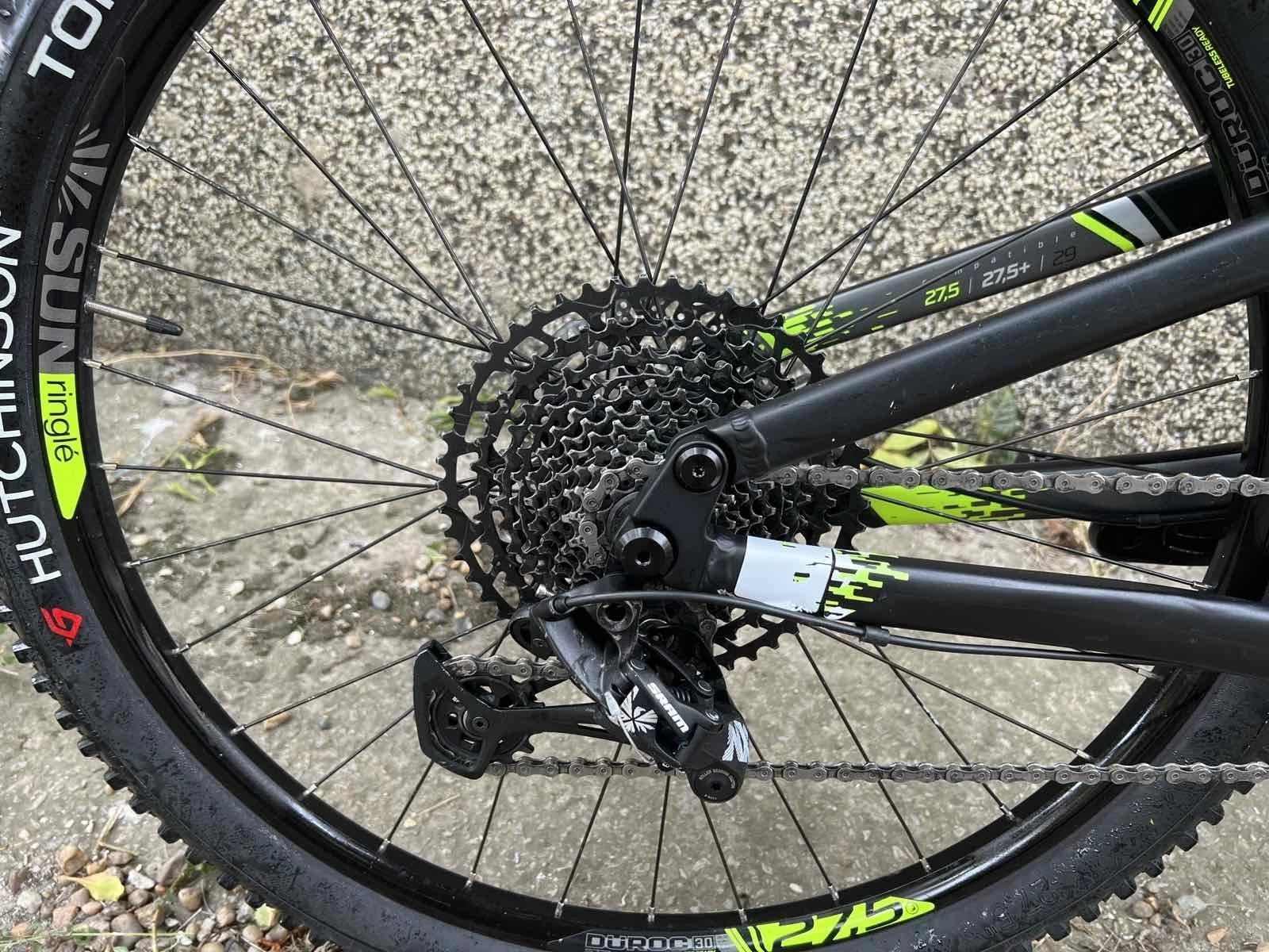  Rock Rider  | Mobile.bg   8