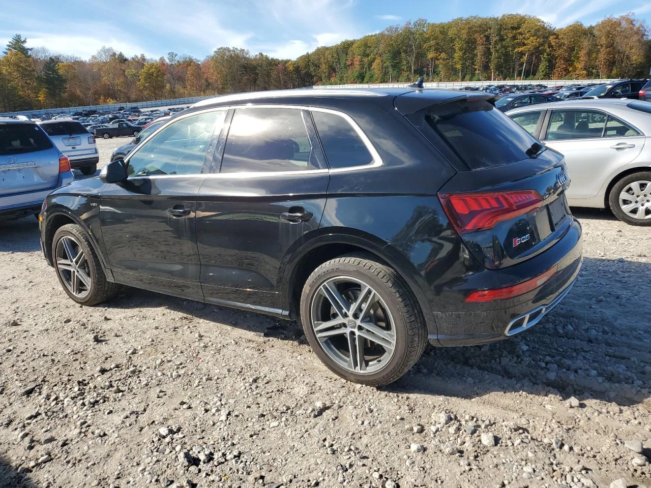 Audi SQ5  - изображение 2