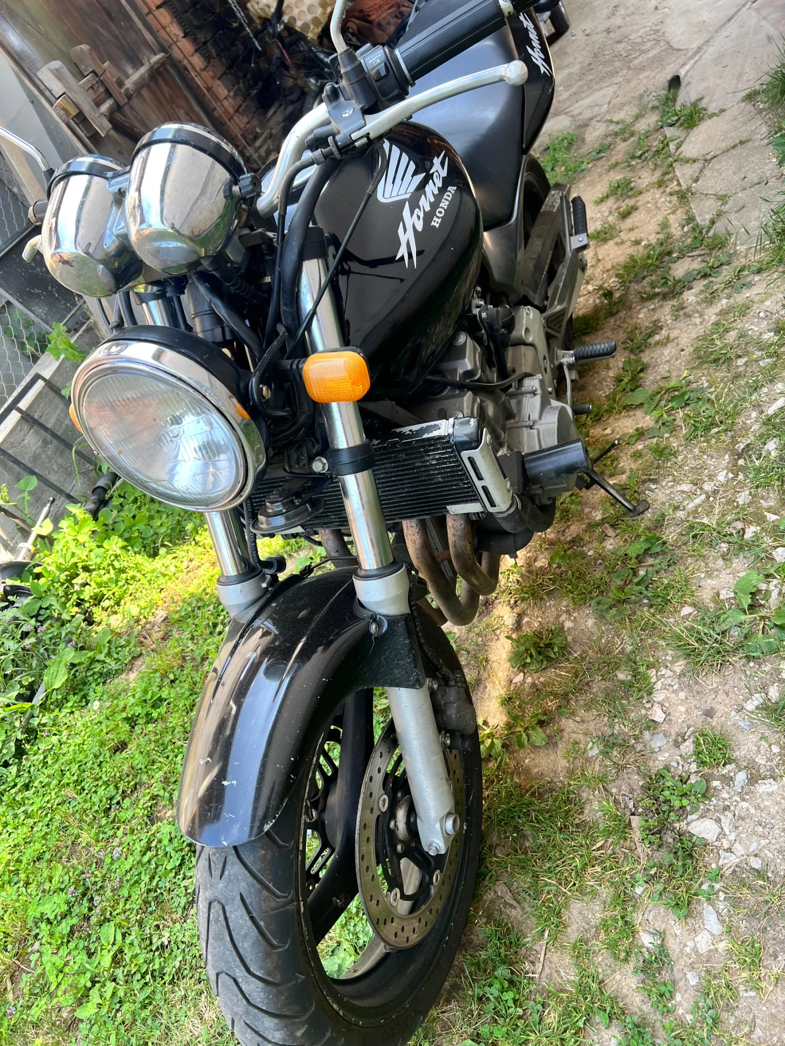 Honda Hornet