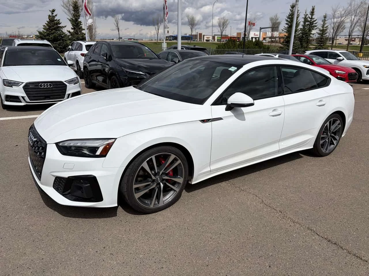 Audi S5 Technik/ПАНОРАМА/ДИСТРОНИК/360, снимка 4 - Автомобили и джипове - 54572759