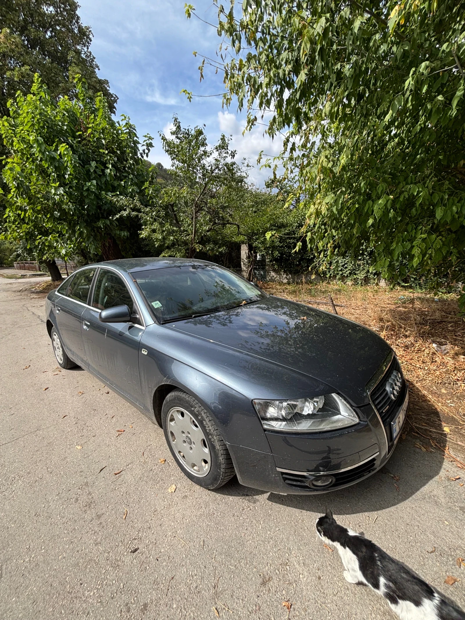 Audi A6, снимка 2 - Автомобили и джипове - 56082628