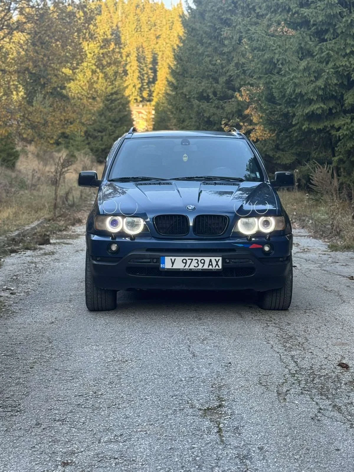 BMW X5 | Mobile.bg   15