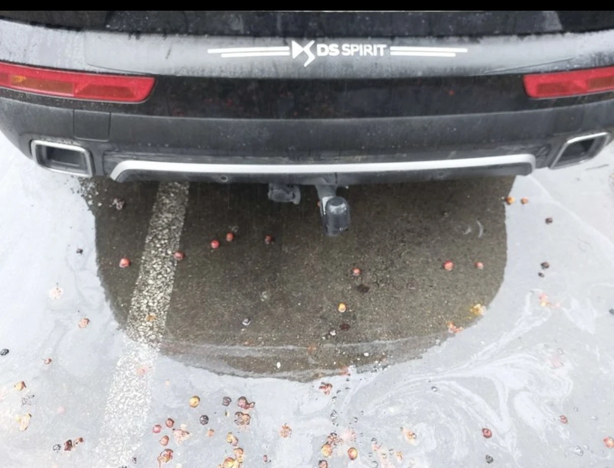 Citroen DS 7 Crossback 2.0hdi 180к.с. FULL, снимка 9 - Автомобили и джипове - 53869259