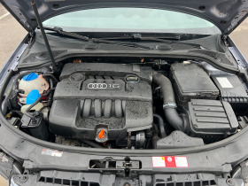 Audi A3 1.6i Klimatronik  | Mobile.bg   13