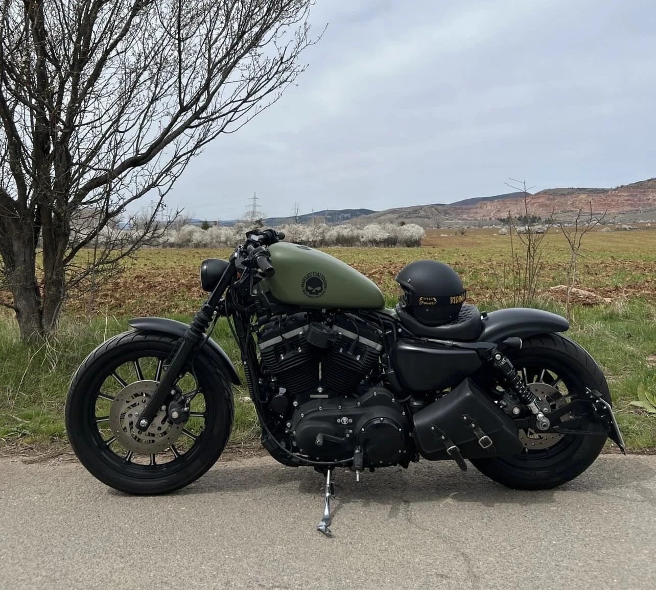Harley-Davidson Sportster, снимка 13 - Мотоциклети и мототехника - 55350449