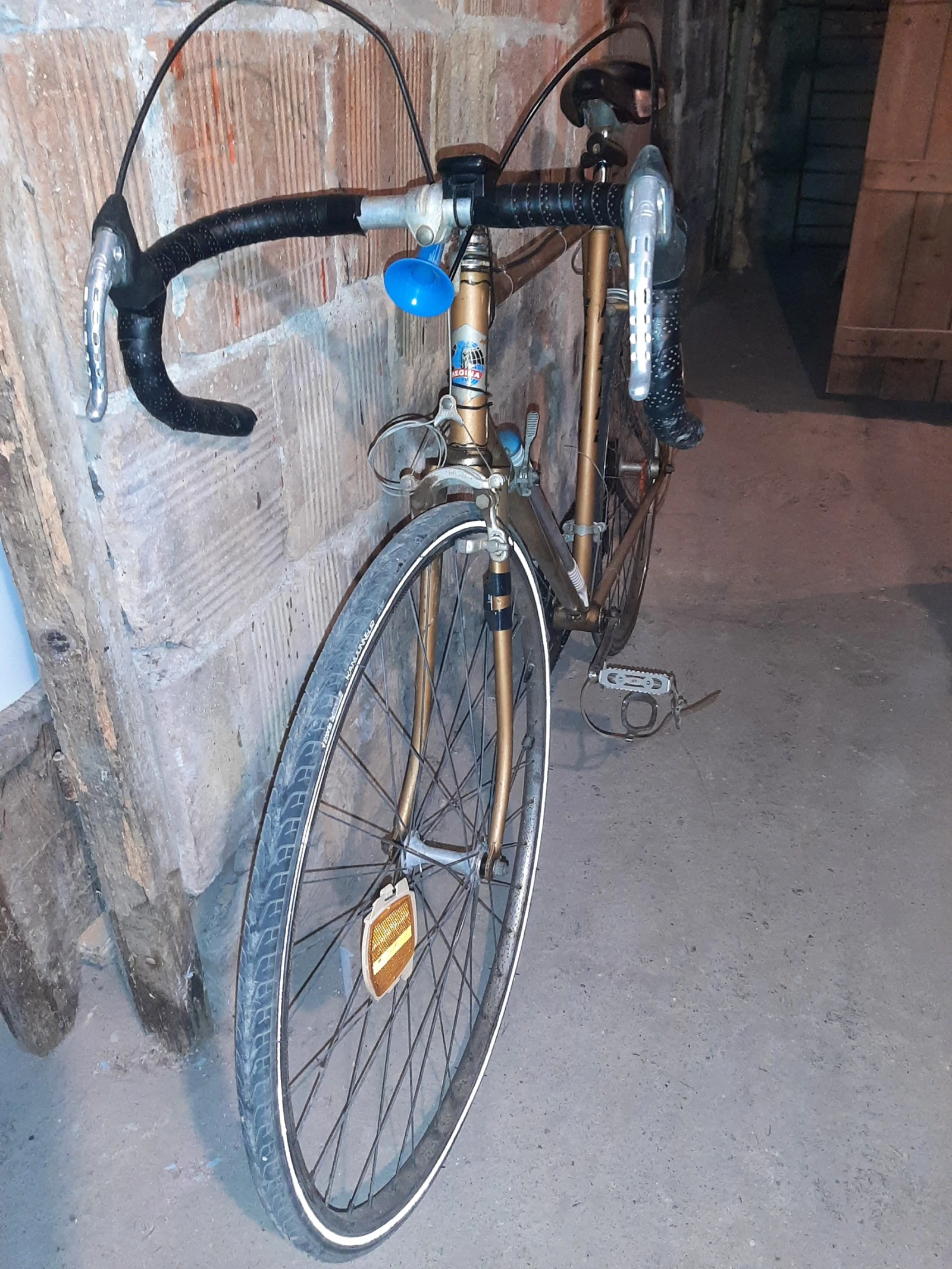  ReginaSport | Mobile.bg   3