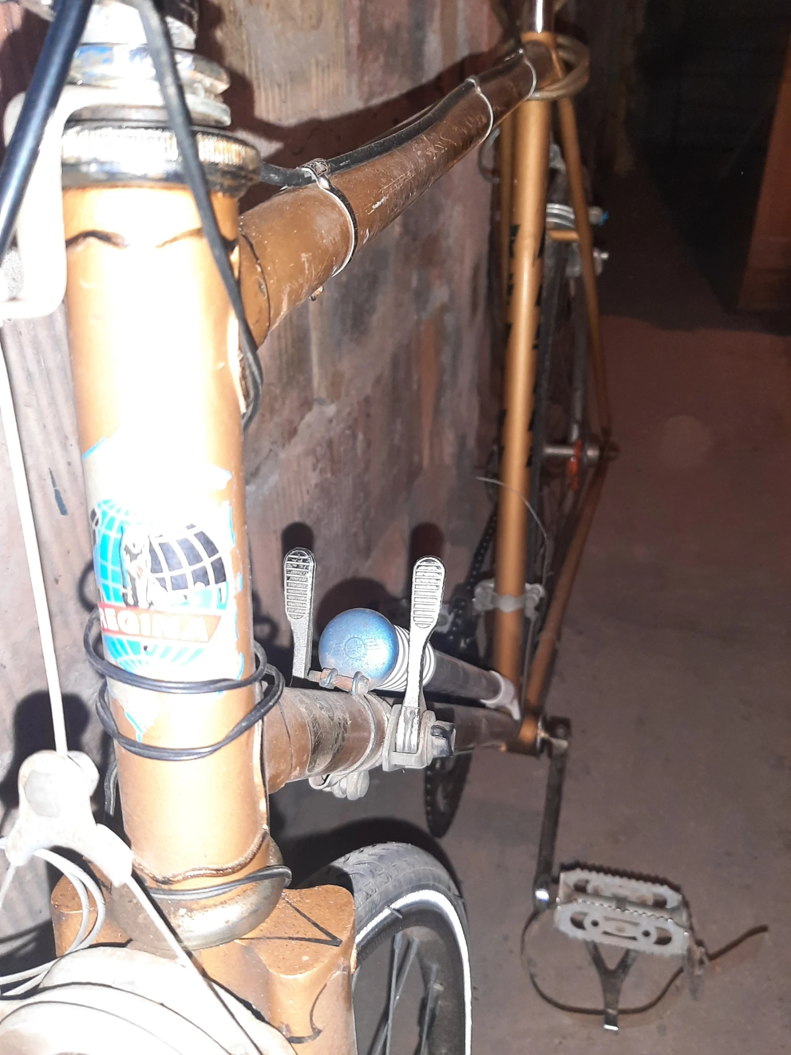  ReginaSport | Mobile.bg   4