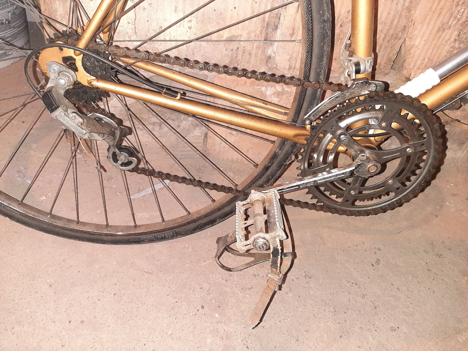  ReginaSport | Mobile.bg   7