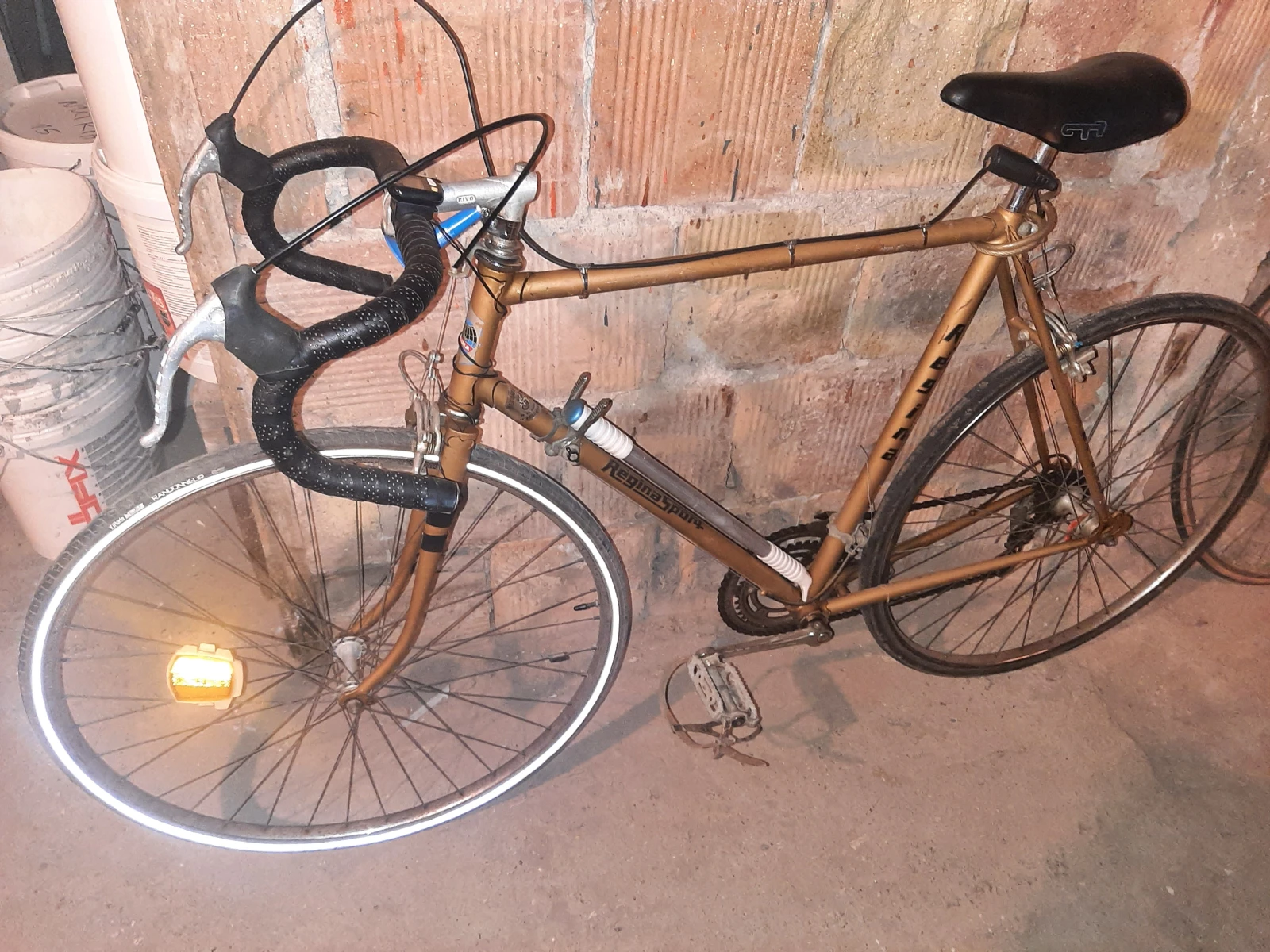  ReginaSport | Mobile.bg   1