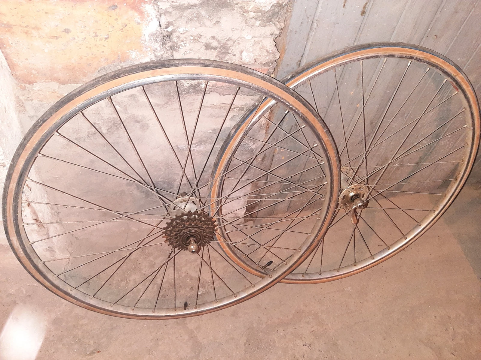  ReginaSport | Mobile.bg   2