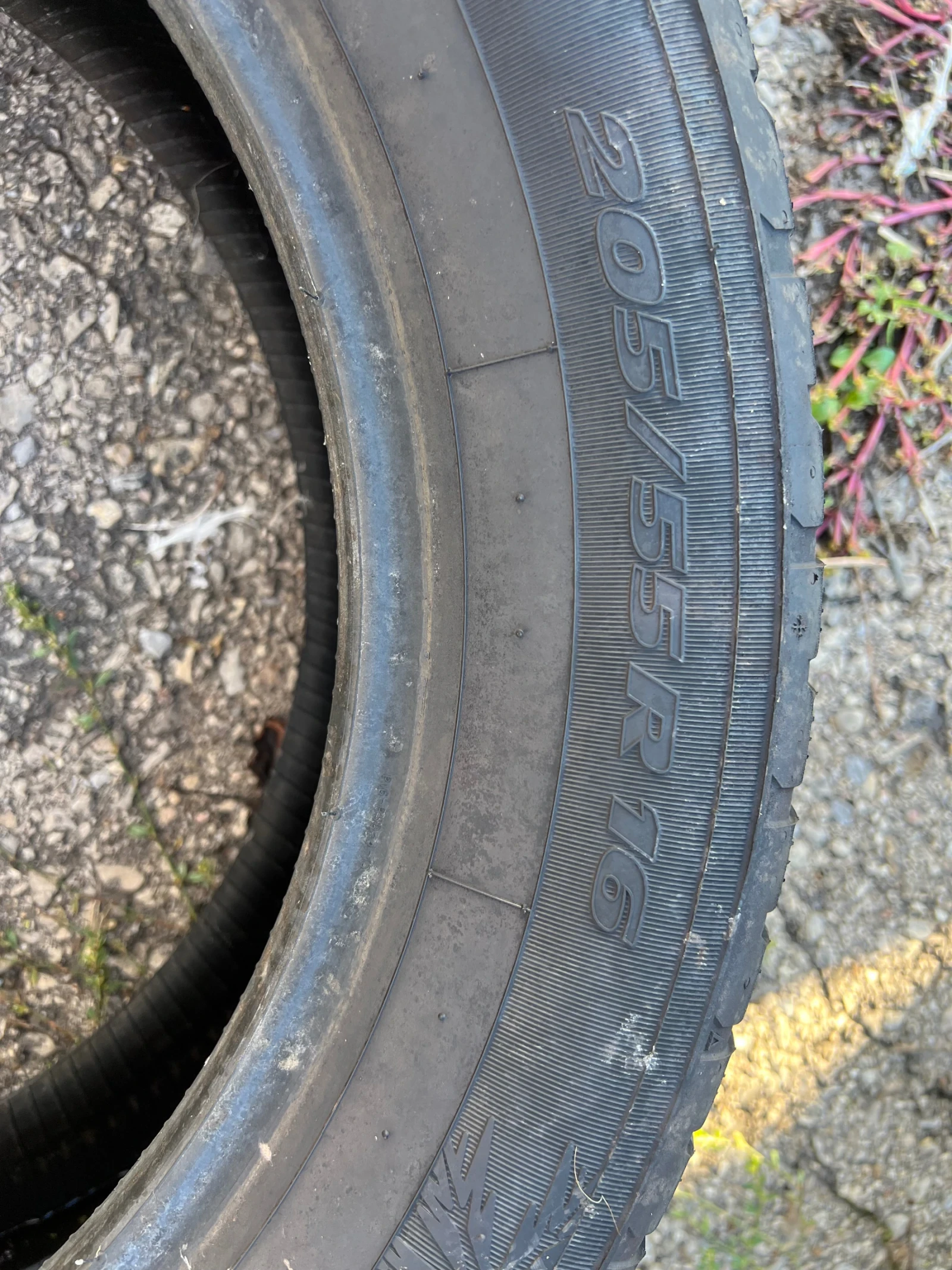 ���� 205/55R16 | Mobile.bg � ����������� 2