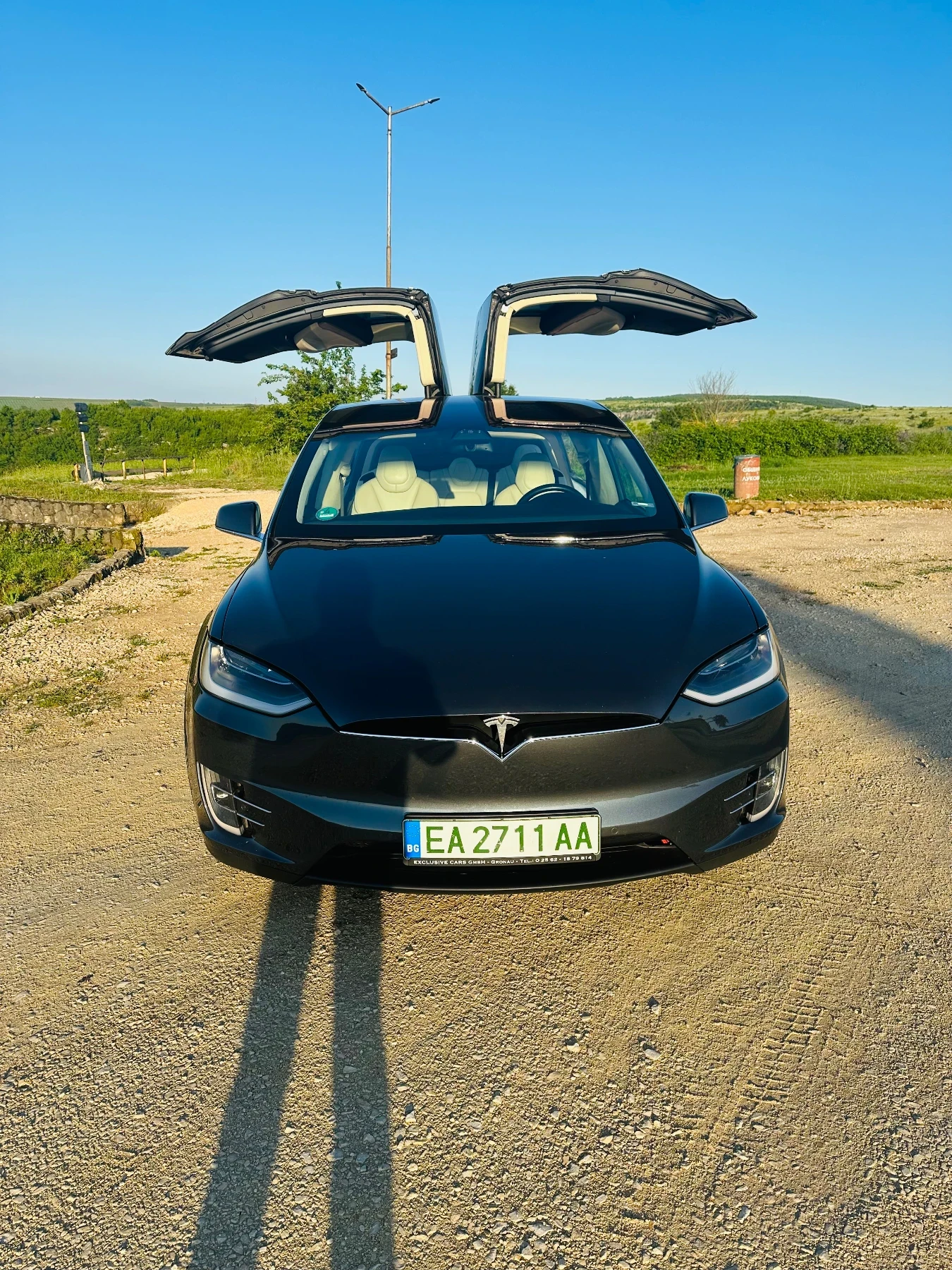 Tesla Model X 100D FSD