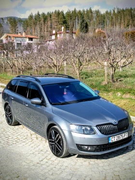 Skoda Octavia 1.6TDI DSG/NAVI/2ключа/хамелеон , снимка 2